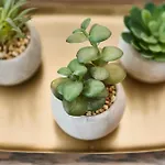 公寓 Kendler 萨尔巴赫